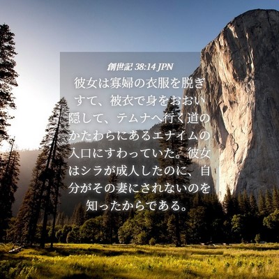 Picture 04 - 創世記 38:14 JPN - 彼女は寡婦の衣服を脱ぎすて、被衣 - Bible Verse Picture