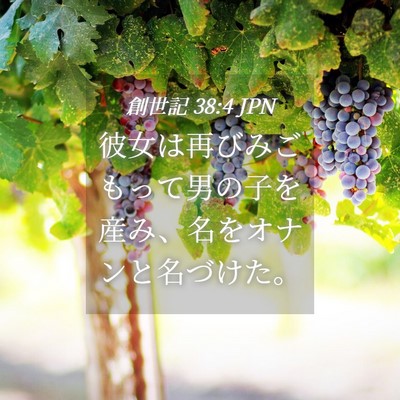 Picture 04 - 創世記 38:4 JPN - 彼女は再びみごもって男の子を産み - Bible Verse Picture