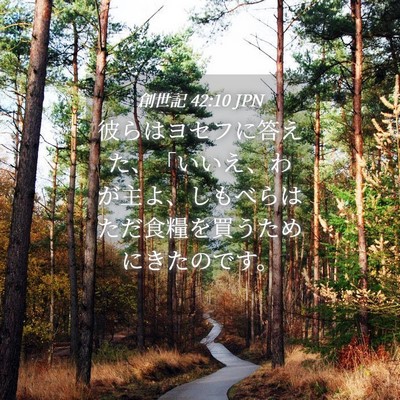 Picture 04 - 創世記 42:10 JPN - 彼らはヨセフに答えた、「いいえ、 - Bible Verse Picture