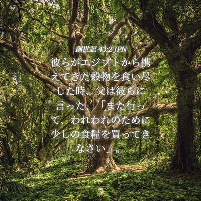 Picture 04 - 創世記 43:2 JPN - 彼らがエジプトから携えてきた穀物 - Bible Verse Picture