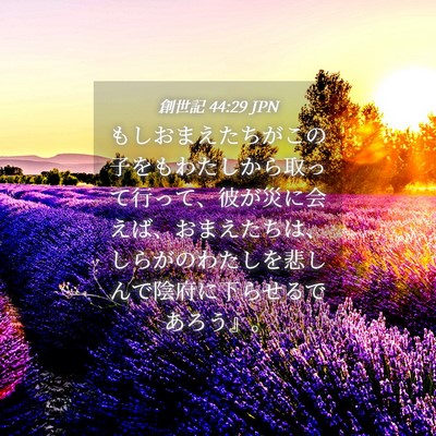 Picture 04 - 創世記 44:29 JPN - もしおまえたちがこの子をもわたし - Bible Verse Picture