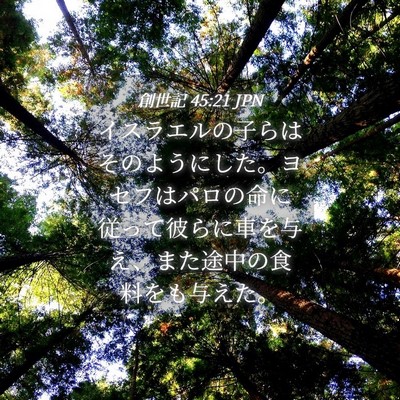 Picture 04 - 創世記 45:21 JPN - イスラエルの子らはそのようにした - Bible Verse Picture