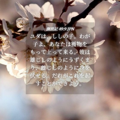 Picture 04 - 創世記 49:9 JPN - ユダは、ししの子。わが子よ、あな - Bible Verse Picture