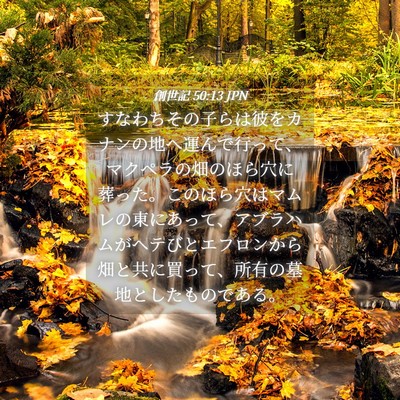 Picture 04 - 創世記 50:13 JPN - すなわちその子らは彼をカナンの地 - Bible Verse Picture