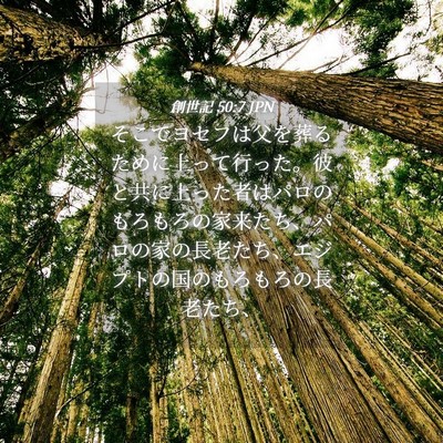 Picture 04 - 創世記 50:7 JPN - そこでヨセフは父を葬るために上っ - Bible Verse Picture