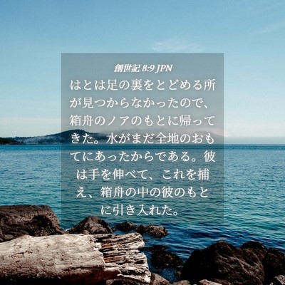 Picture 04 - 創世記 8:9 JPN - はとは足の裏をとどめる所が見つか - Bible Verse Picture