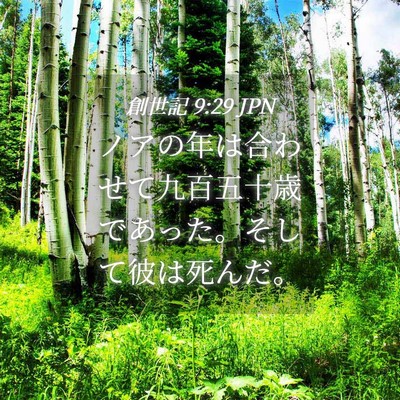 Picture 04 - 創世記 9:29 JPN - ノアの年は合わせて九百五十歳であ - Bible Verse Picture