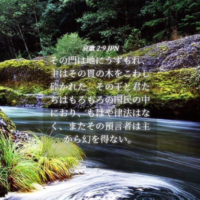 Picture 04 - 哀歌 2:9 JPN - その門は地にうずもれ、主はその貫 - Bible Verse Picture