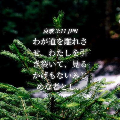Picture 04 - 哀歌 3:11 JPN - わが道を離れさせ、わたしを引き裂 - Bible Verse Picture
