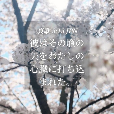 Picture 04 - 哀歌 3:13 JPN - 彼はその箙の矢をわたしの心臓に打 - Bible Verse Picture