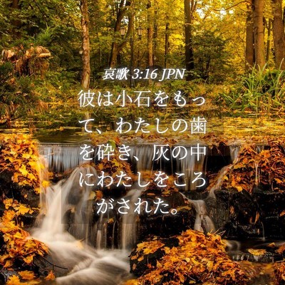 Picture 04 - 哀歌 3:16 JPN - 彼は小石をもって、わたしの歯を砕 - Bible Verse Picture