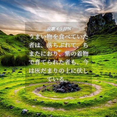 Picture 04 - 哀歌 4:5 JPN - うまい物を食べていた者は、落ちぶ - Bible Verse Picture