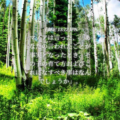Picture 04 - 士師記 13:12 JPN - マノアは言った、「あなたの言われ - Bible Verse Picture