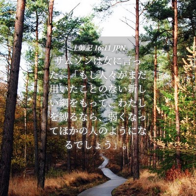 Picture 04 - 士師記 16:11 JPN - サムソンは女に言った、「もし人々 - Bible Verse Picture