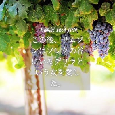 Picture 04 - 士師記 16:4 JPN - この後、サムソンはソレクの谷にい - Bible Verse Picture