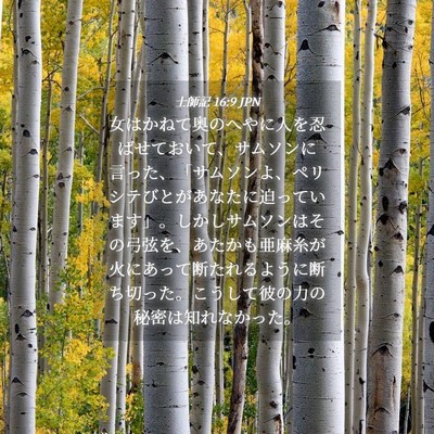 Picture 04 - 士師記 16:9 JPN - 女はかねて奥のへやに人を忍ばせて - Bible Verse Picture