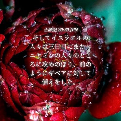 Picture 04 - 士師記 20:30 JPN - そしてイスラエルの人々は三日目に - Bible Verse Picture