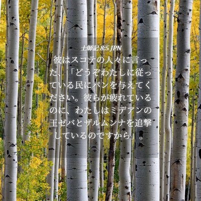 Picture 04 - 士師記 8:5 JPN - 彼はスコテの人々に言った、「どう - Bible Verse Picture