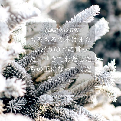 Picture 04 - 士師記 9:12 JPN - もろもろの木はまたぶどうの木に言 - Bible Verse Picture