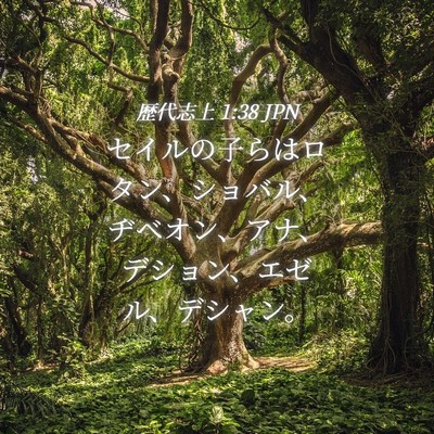 Picture 04 - 歴代志上 1:38 JPN - セイルの子らはロタン、ショバル、 - Bible Verse Picture