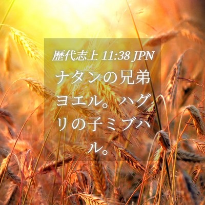 Picture 04 - 歴代志上 11:38 JPN - ナタンの兄弟ヨエル。ハグリの子ミ - Bible Verse Picture