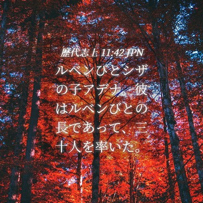 Picture 04 - 歴代志上 11:42 JPN - ルベンびとシザの子アデナ。彼はル - Bible Verse Picture