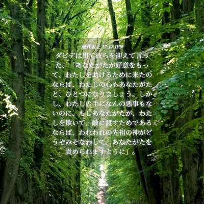Picture 04 - 歴代志上 12:17 JPN - ダビデは出て彼らを迎えて言った、 - Bible Verse Picture