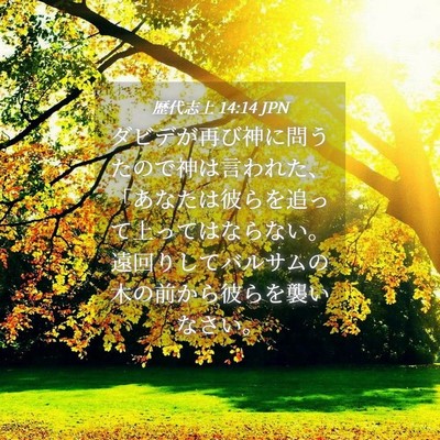 Picture 04 - 歴代志上 14:14 JPN - ダビデが再び神に問うたので神は言 - Bible Verse Picture