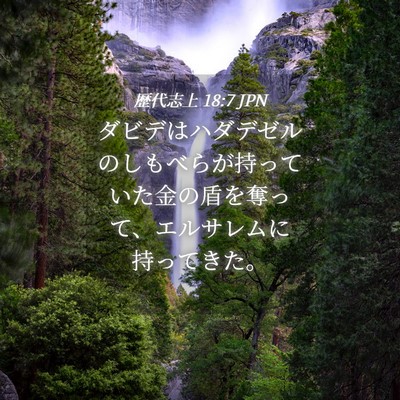 Picture 04 - 歴代志上 18:7 JPN - ダビデはハダデゼルのしもべらが持 - Bible Verse Picture