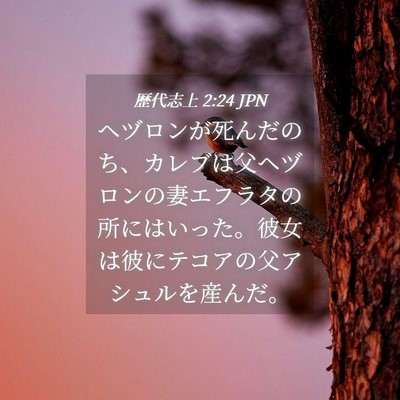 Picture 04 - 歴代志上 2:24 JPN - ヘヅロンが死んだのち、カレブは父 - Bible Verse Picture