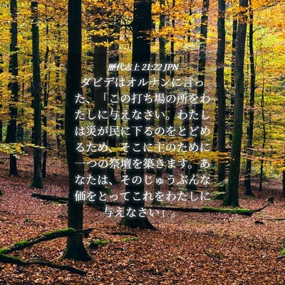 Picture 04 - 歴代志上 21:22 JPN - ダビデはオルナンに言った、「この - Bible Verse Picture