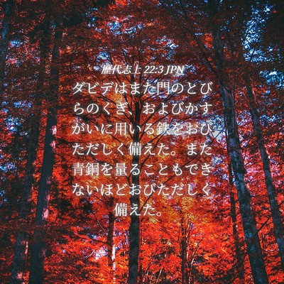 Picture 04 - 歴代志上 22:3 JPN - ダビデはまた門のとびらのくぎ、お - Bible Verse Picture