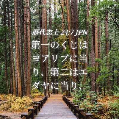 Picture 04 - 歴代志上 24:7 JPN - 第一のくじはヨアリブに当り、第二 - Bible Verse Picture