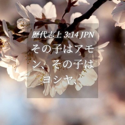 Picture 04 - 歴代志上 3:14 JPN - その子はアモン、その子はヨシヤ、 - Bible Verse Picture