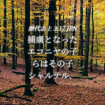 Picture 04 - 歴代志上 3:17 JPN - 捕虜となったエコニヤの子らはその - Bible Verse Picture