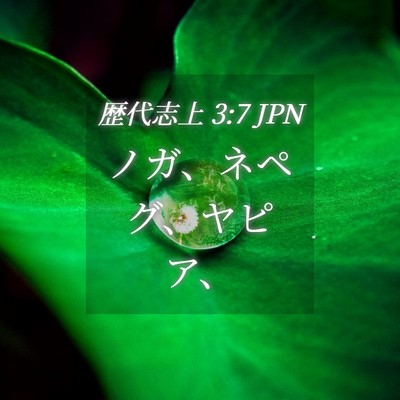 Picture 04 - 歴代志上 3:7 JPN - ノガ、ネペグ、ヤピア、 - Bible Verse Picture