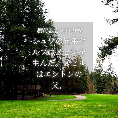 Picture 04 - 歴代志上 4:11 JPN - シュワの兄弟ケルブはメヒルを生ん - Bible Verse Picture
