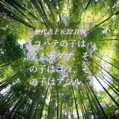Picture 04 - 歴代志上 6:22 JPN - コハテの子はアミナダブ、その子は - Bible Verse Picture