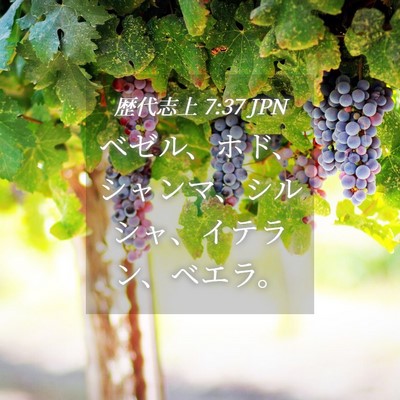 Picture 04 - 歴代志上 7:37 JPN - ベゼル、ホド、シャンマ、シルシャ - Bible Verse Picture