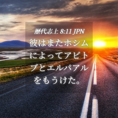 Picture 04 - 歴代志上 8:11 JPN - 彼はまたホシムによってアビトブと - Bible Verse Picture
