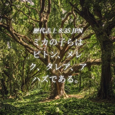 Picture 04 - 歴代志上 8:35 JPN - ミカの子らはピトン、メレク、タレ - Bible Verse Picture