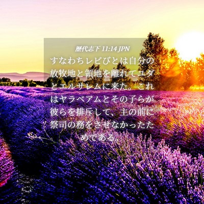 Picture 04 - 歴代志下 11:14 JPN - すなわちレビびとは自分の放牧地と - Bible Verse Picture