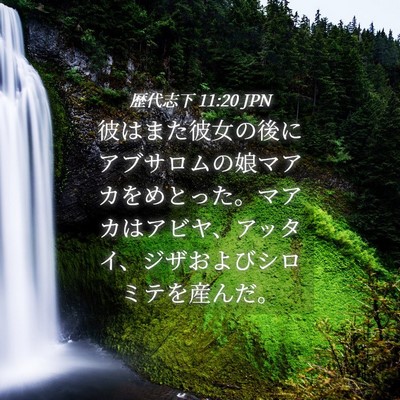 Picture 04 - 歴代志下 11:20 JPN - 彼はまた彼女の後にアブサロムの娘 - Bible Verse Picture