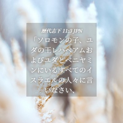 Picture 04 - 歴代志下 11:3 JPN - 「ソロモンの子、ユダの王レハベア - Bible Verse Picture