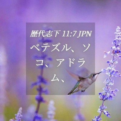 Picture 04 - 歴代志下 11:7 JPN - ベテズル、ソコ、アドラム、 - Bible Verse Picture