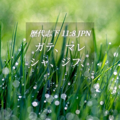 Picture 04 - 歴代志下 11:8 JPN - ガテ、マレシャ、ジフ、 - Bible Verse Picture