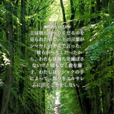 Picture 04 - 歴代志下 12:7 JPN - 主は彼らのへりくだるのを見られた - Bible Verse Picture