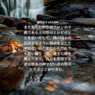 Picture 04 - 歴代志下 13:9 JPN - またあなたがたはアロンの子孫であ - Bible Verse Picture