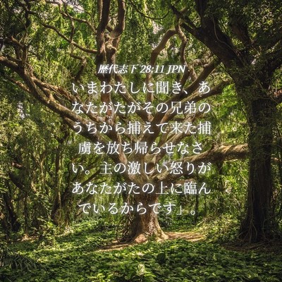 Picture 04 - 歴代志下 28:11 JPN - いまわたしに聞き、あなたがたがそ - Bible Verse Picture