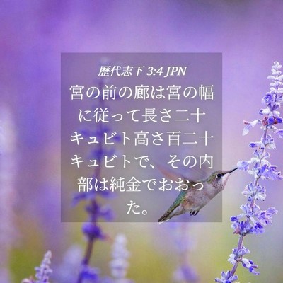 Picture 04 - 歴代志下 3:4 JPN - 宮の前の廊は宮の幅に従って長さ二 - Bible Verse Picture